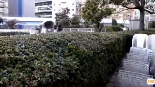 国产a v 在线,国产精品免费大片一区二区高清